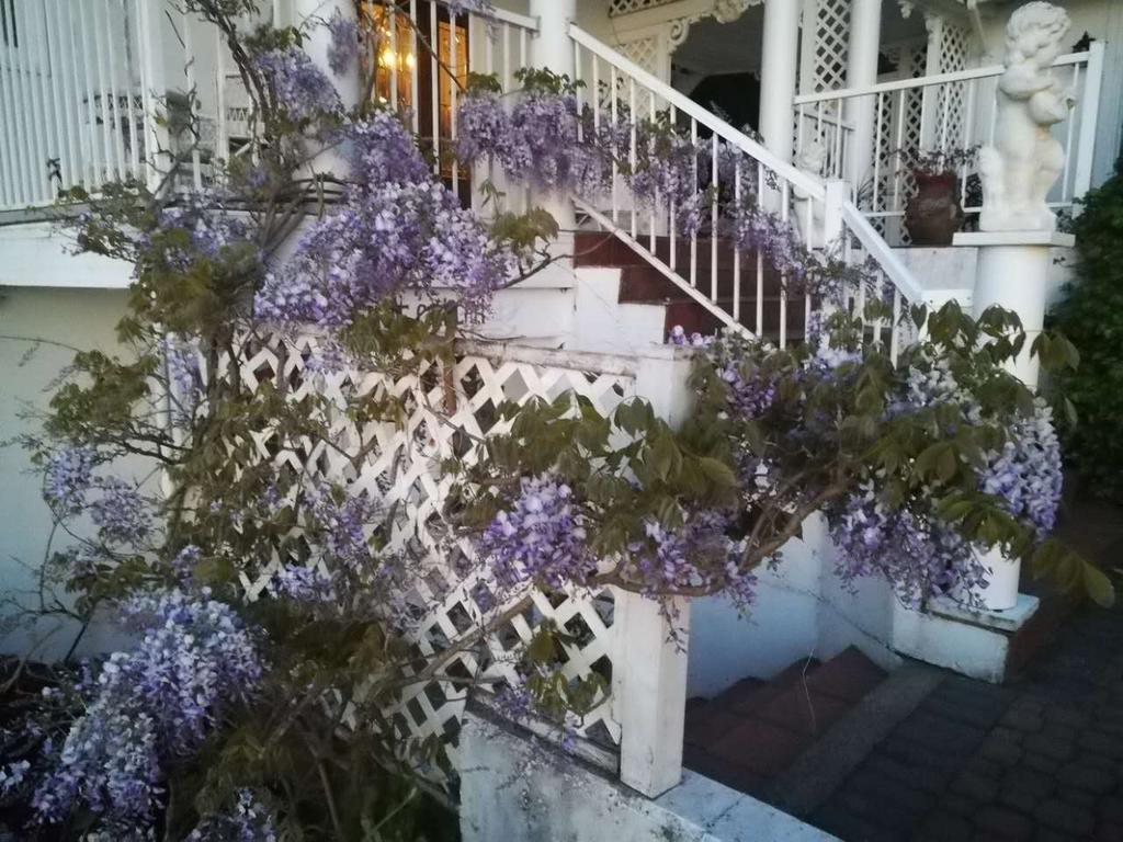 Vancouver Island Castle Cove Inn Chemainus Exterior photo